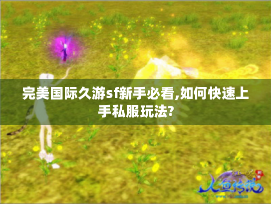 完美国际久游sf新手必看,如何快速上手私服玩法? 完美国际久游sf新手必看,如何快速上手私服玩法?
