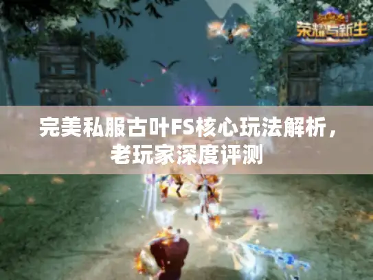 完美私服古叶FS核心玩法解析，老玩家深度评测