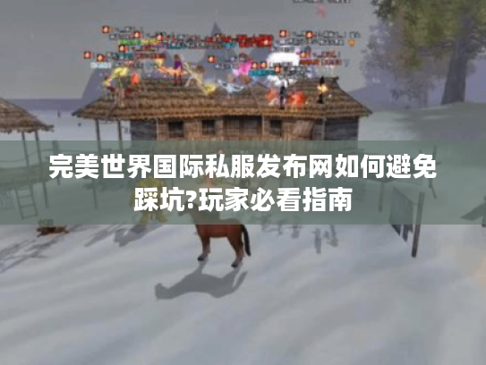 完美世界国际私服发布网如何避免踩坑?玩家必看指南