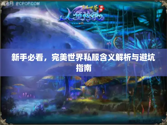 新手必看，完美世界私服含义解析与避坑指南