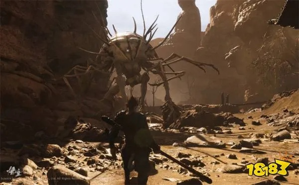 黑神话悟空三冬虫攻略，全收集方法！