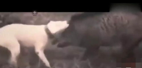 《世界启元》五区战报：揭秘新战区胜机！