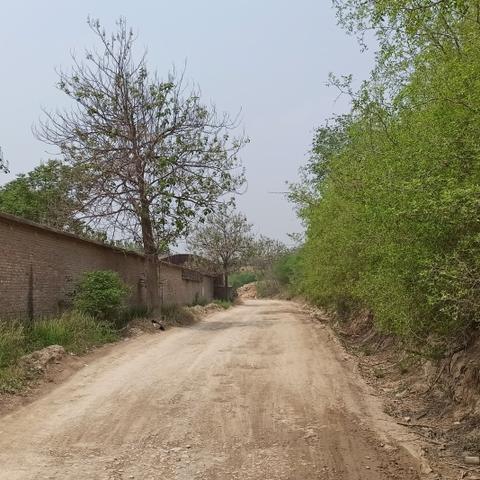 心动小镇沙滩乐园：天蓝色小鸭子藏身在哪？快速找到攻略！