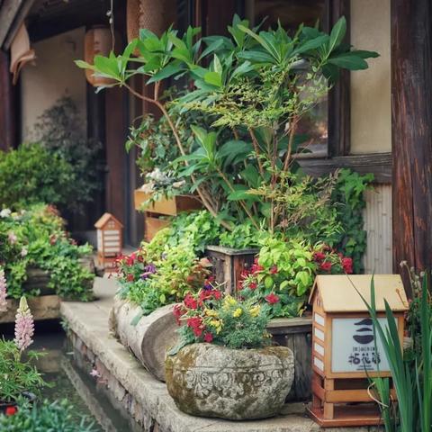 心动小镇8月15日兑换码,直播抢码攻略! 心动小镇8月15日兑换码,直播抢码攻略!