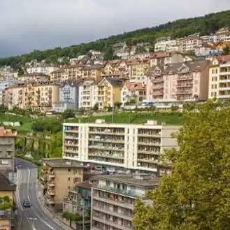 心动小镇8月15日兑换码,直播抢码攻略! 心动小镇8月15日兑换码,直播抢码攻略!