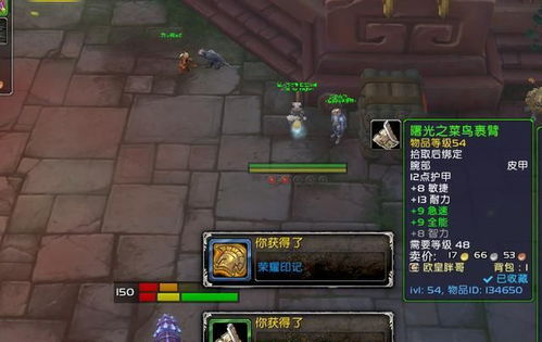 《魔兽世界》地心之战地下堡速通攻略！