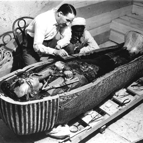 卡特:剑与骑士团中的神秘骑士,如何拯救王国危机? 卡特:剑与骑士团中的神秘骑士,如何拯救王国危机?