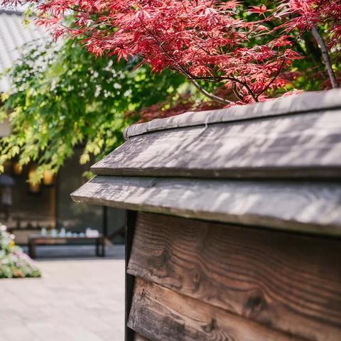 心动小镇8月13日兑换码揭晓！直播抢码攻略