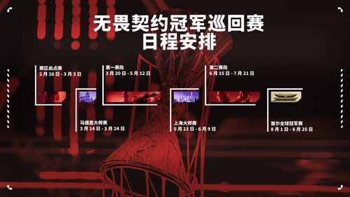 无畏契约2025首尔赛8月11日:冠军花落谁家? 无畏契约2025首尔赛8月11日:冠军花落谁家?