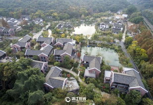 心动小镇8月12日溜溜橡木/萤石攻略 心动小镇8月12日溜溜橡木/萤石攻略