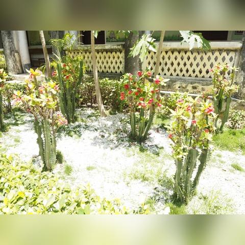 心动小镇沙滩乐园攻略，快速通关秘籍！