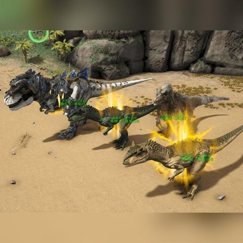 命运方舟：美女朋友破防？揭秘解决方法