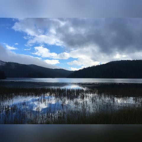 七日世界怪物巴士路线盘点 七日世界怪物巴士路线盘点