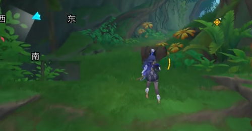 原神艾梅莉埃秘境宝箱在哪?快速找到攻略! 原神艾梅莉埃秘境宝箱在哪?快速找到攻略!