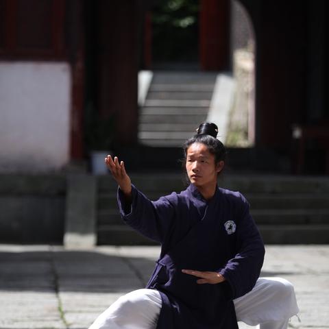 江湖进阶：中后期赚钱高招+武学搭配攻略