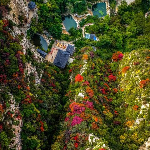 心动小镇8月7日兑换码,直播抢码攻略! 心动小镇8月7日兑换码,直播抢码攻略!