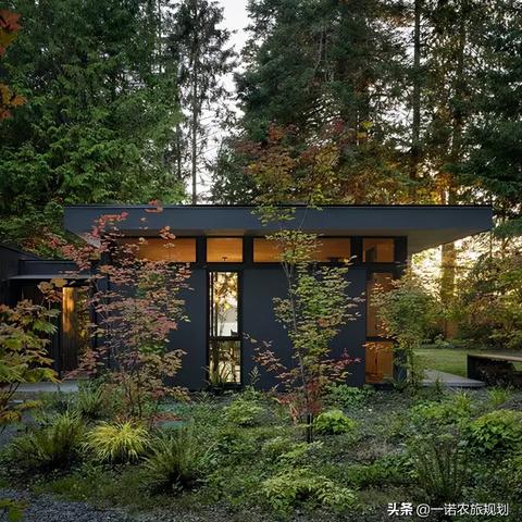 24小时森中小屋坏结局揭秘：如何避免？