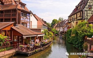 心动小镇锡嘴雀位置揭秘 心动小镇锡嘴雀位置揭秘