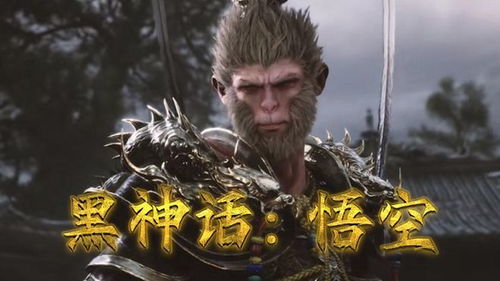 《黑神话悟空》血杞子功效揭秘：强身健体必备！