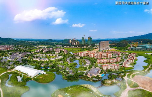 心动小镇奥杜安海鸥位置揭晓