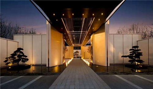 心动小镇欧鸽位置揭秘 心动小镇欧鸽位置揭秘