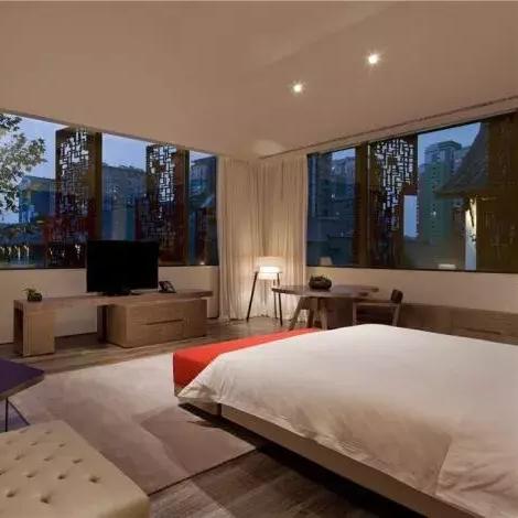 心动小镇鹪鹩位置揭秘