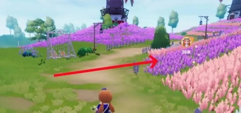 心动小镇紫木蜂捕捉点揭秘 心动小镇紫木蜂捕捉点揭秘