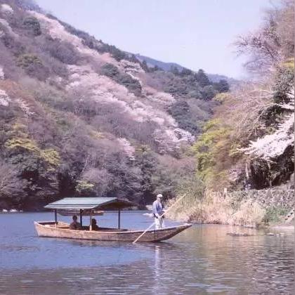 心动小镇蓝胸木蜂捕捉点揭秘 心动小镇蓝胸木蜂捕捉点揭秘