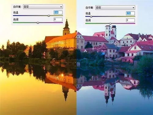 心动小镇7月30日溜溜橡木/萤石位置揭晓