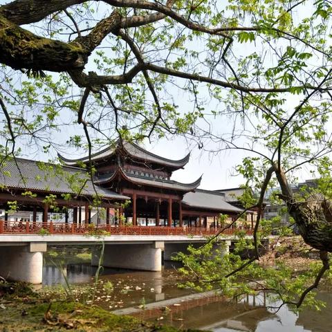 心动小镇家具制作书哪里找?快速获取攻略! 心动小镇家具制作书哪里找?快速获取攻略!