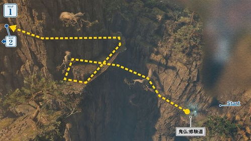 只狼地图分享,解锁全图攻略! 只狼地图分享,解锁全图攻略!