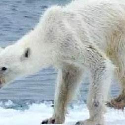 绝区零攻略:浮冰空洞路线规划+样本全收集技巧 绝区零攻略:浮冰空洞路线规划+样本全收集技巧