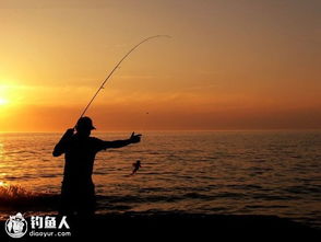 心动小镇杜父鱼钓点揭秘 心动小镇杜父鱼钓点揭秘