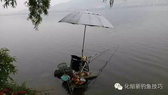 心动小镇梅花鲈钓点揭秘 心动小镇梅花鲈钓点揭秘