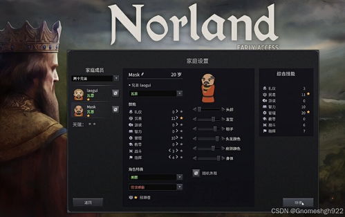 诺兰德新手攻略：快速上手技巧揭秘