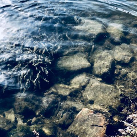 《无人愿死》结局攻略:揭秘全流程! 《无人愿死》结局攻略:揭秘全流程!