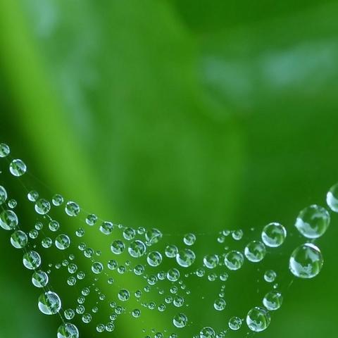 世界启元英雄盘点:哪些值得培养? 世界启元英雄盘点:哪些值得培养?