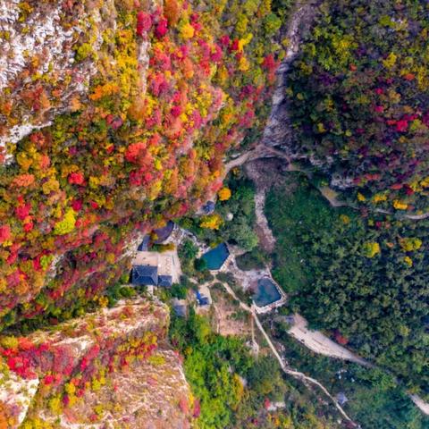 心动小镇商城大揭秘:公测福利盘点,你的购物痛点解决了吗? 心动小镇商城大揭秘:公测福利盘点,你的购物痛点解决了吗?