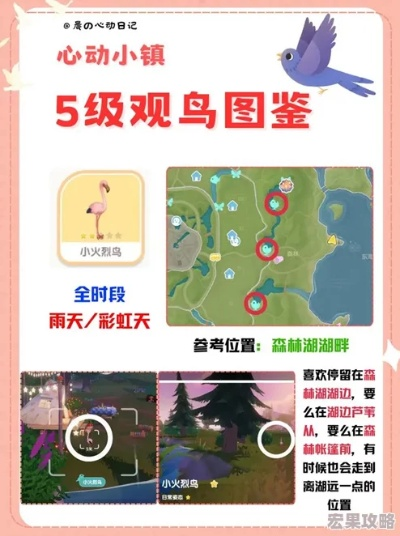 心动小镇观鸟指南:揭秘各鸟类栖息地及天气攻略 心动小镇观鸟指南:揭秘各鸟类栖息地及天气攻略