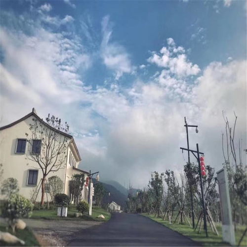 心动小镇常见问题解答攻略 心动小镇常见问题解答攻略