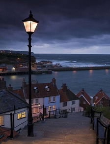 心动小镇观鸟攻略:揭秘最佳出没时间与位置 心动小镇观鸟攻略:揭秘最佳出没时间与位置