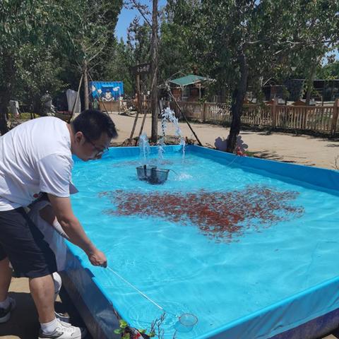 心动小镇捕虫攻略:轻松捕虫技巧大揭秘 心动小镇捕虫攻略:轻松捕虫技巧大揭秘