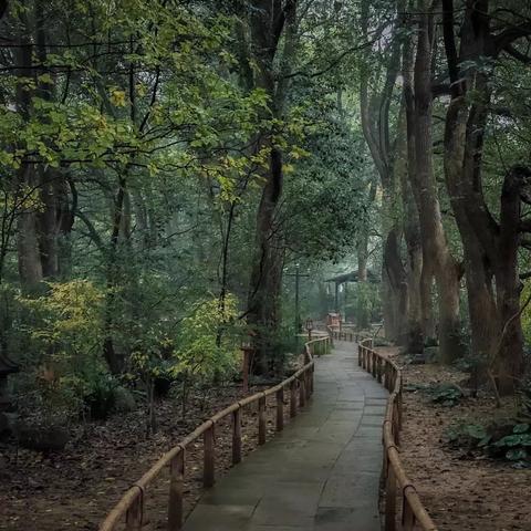 心动小镇钓鱼攻略：新手必看！快速上手技巧