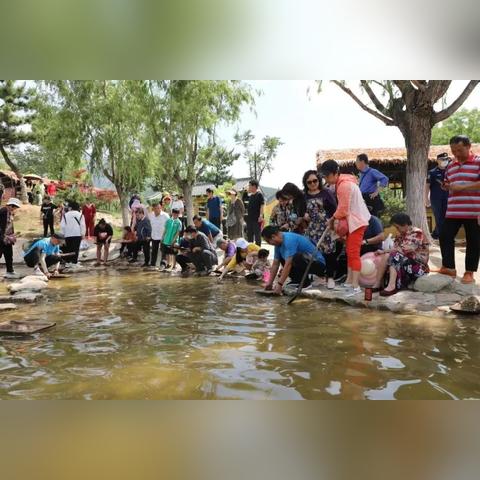 心动小镇珍稀木材获取攻略 心动小镇珍稀木材获取攻略