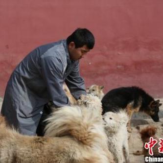 绝区零小黑领养攻略:快速领养猫咪小黑秘诀 绝区零小黑领养攻略:快速领养猫咪小黑秘诀