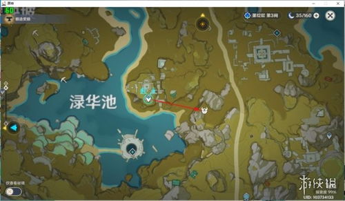 原神骗骗花攻略：快速通关技巧揭秘