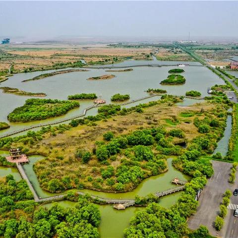 《三角洲行动》金砖之夜:32字揭秘精彩瞬间 《三角洲行动》金砖之夜:32字揭秘精彩瞬间