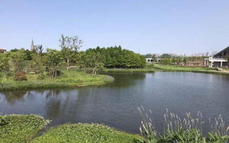 七日世界代顿湿地攻略:揭秘湿地奇观,轻松玩转! 七日世界代顿湿地攻略:揭秘湿地奇观,轻松玩转!