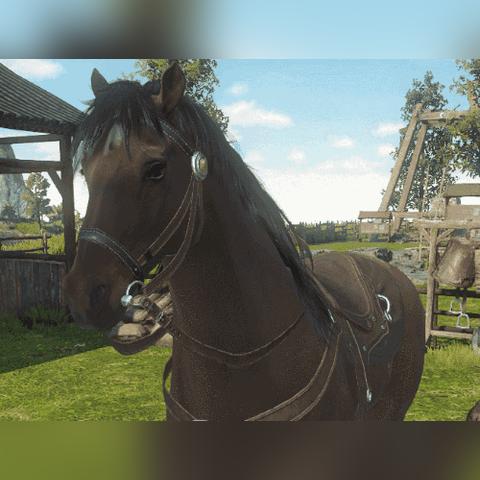 逆水寒免费坐骑盘点:哪款最适合你? 逆水寒免费坐骑盘点:哪款最适合你?