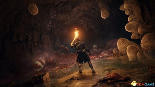 艾尔登法环DLC黄金树影BOSS魂量速查 艾尔登法环DLC黄金树影BOSS魂量速查